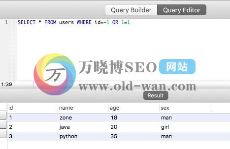 什么是SQL注入攻击