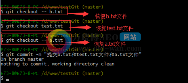 Git最全实践教程