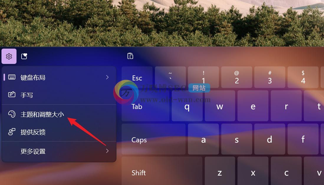 Win11触摸键盘主题如何更换？
