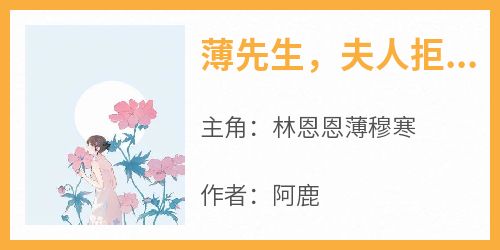 薄先生，夫人拒绝和你复婚